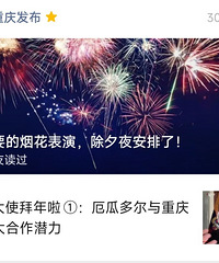 有多少人准备除夕夜去看烟花啊?