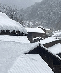 ������Ů����ʵ¼�������ϼҵ�ѩ�µ���󣬺ܳ�Ƭ������̫��