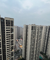 ������Ұ����ǰ���з��ڵ��ͳ�����Ұ��Ӧ����ôѡ��