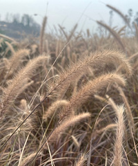 ������Ů����ʵ¼�����컹���е���Ŷ��������ǻ۹�԰