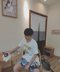 96175CM˶ʿС飬ҸÿһŮ