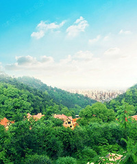 �����������ۡ��ɽ�־��۷������У�