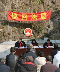 村民砍260年红豆杉熏腊肉,法院判了
