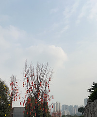 ��ͷ�¹�԰��������