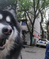 86年173CM事业单位的哥子征婚,狮子重重亲情重感情重义气