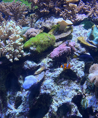 һҹˣ麣¡˾ǧֵ࣬öˢ