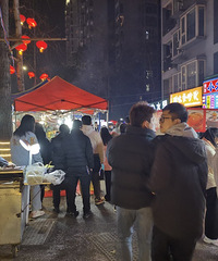 ���ⷿҹ�������������ֱ�޵���