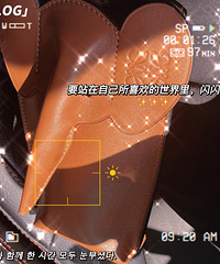 ���˸��ֻ���