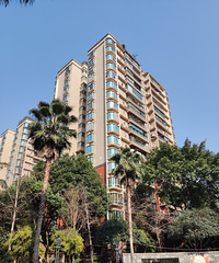 ʵ̽���Ʒ����ϻ�ͥ