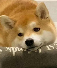 ������ֵ�����Uһ�޸�Ȧ����19��������Ƥ����30��19.9