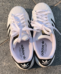 ���ϴ�˹������Խ��Խ����