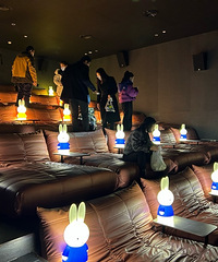 ����ɳ��λ���ڵ�Ӱ������̫�Ѻ��ˣ�