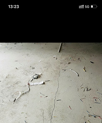 ��Ԫ�ܲ����²棿