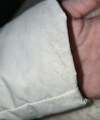 ��ɫ���޷����������ôϴ������