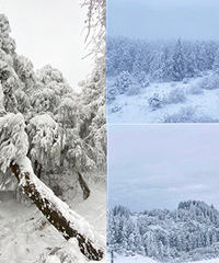 南天湖耍雪真得太爽了,景色也美