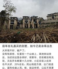 ǰ���������ı�������Ӳݴ���������ΪɶҪ��