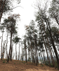 �������ˣ����빫԰Ҳ���˶�����ɽ�ع�԰��δ������