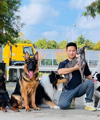 92年不抽烟的宠物行业职业训犬师征婚,情绪稳定