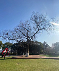 ɳֵһȥóֺˣЩȥ˲