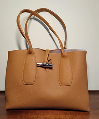 �ܷŵ��Ե�ͨ�ڰ����������������Ҫ��������ң�