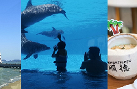 ˢ麣¡Ѱζ˳£ḻֺóԵ;