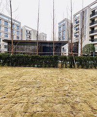 ǰ�汻ͤ�ӵ�ס�� ��ô�Ż�