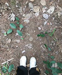 周末爬了一次山,30公里,腿疼