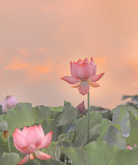 94��162CM���������飬ϣ���Է������̲��Ⱦ�