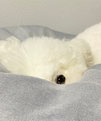 �����������һ��������ͦ��ʵ�ģ�����������Ȥ���û�ͦ��İ�