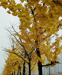 һ����ҲҪ�������ڵ����������갲�������ؿ�һ�������