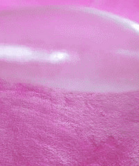 ����6������ף����ǳ��л��߱�����ĳ���������ſ