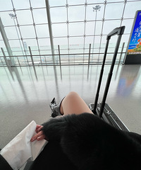 һ����ҲҪ�ú����������ҵ�����ֿ�ʼƵ��������