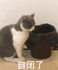 现在的淘宝怎么了?想买件合适的衣服或者裤子真的好难啊