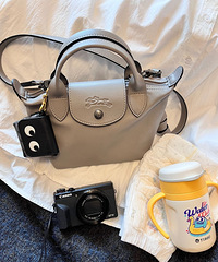 ���õ�С��������LONGCHAMP������Ӱ���