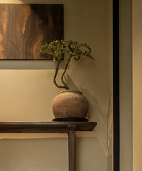 Ȼļұҵˣжȼٵĸо