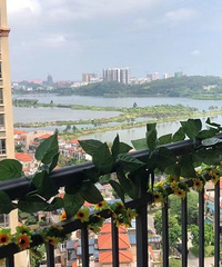 15.5���˫�����������˳��ۣ����н�ѡ����ϼ��˺���ȥ����