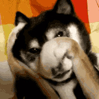 想知道大家不穿的内衣内裤怎么处理?我总觉得不好意思扔