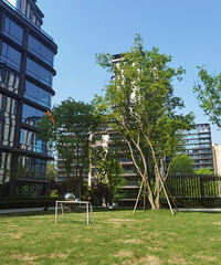 �߲���컨�壬��ֵ��ֵ����