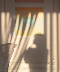 ¶װķʽңѧϹʵãҸ