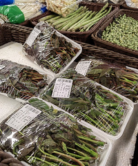 椿芽新上市120元1kg,它为什么这么贵