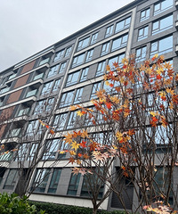 ���ز��г������ů�ˣ��������������