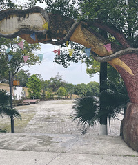 ǵ޺õطιժӡˣԹ