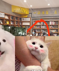 һ���˵������Ȱ��������������æҲҪ���ѽ