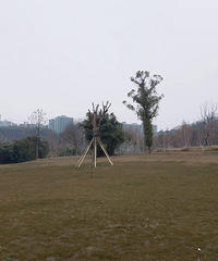 �����쳤�����ֹ�԰