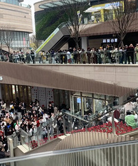 ����õ�廨�Ĺ⻷��ʾ������˽�Ҫ����