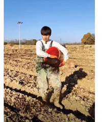 ���ֵذɡ������ֵ���������