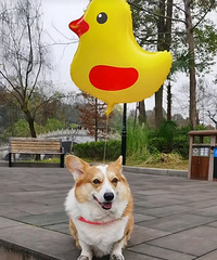 97��158CM��������Դ�����������飬ϣ���Է�89~96��