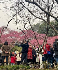 感觉全世界的人都在彩云湖公园