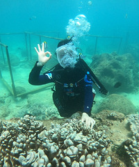 89��160CM������С������飬ϣ���Է�84~90��