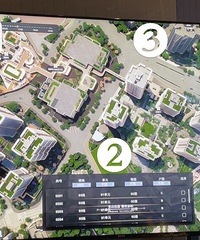 ʦ��ͬ�ŵġ���巡�������Ԫ��Ӧ�����ѡ��